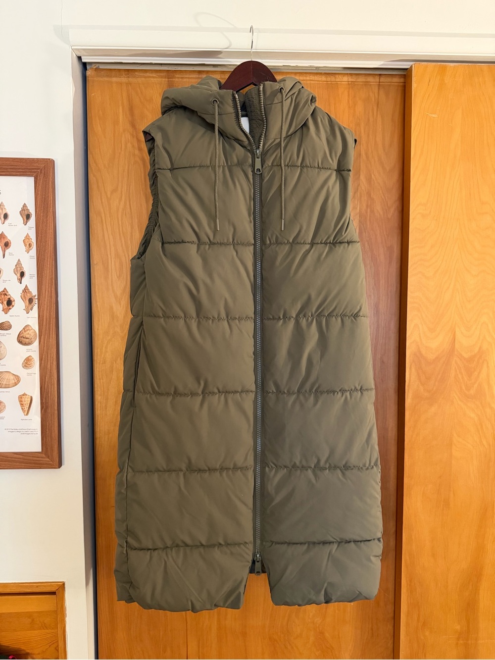 H&M Olive Green Hooded Puffer Vest